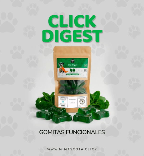 Gomitas Funcionales Click Digest